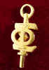 Phi_Sigma_pin.jpg (47088 bytes)